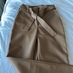 Aritzia vegan leather pants